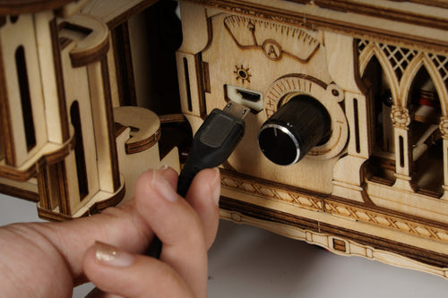 ROKR Gramophone Classique - Puzzle 3D en Bois (Version Électrique)