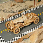 Maquette 3D ROKR Grand Prix Car