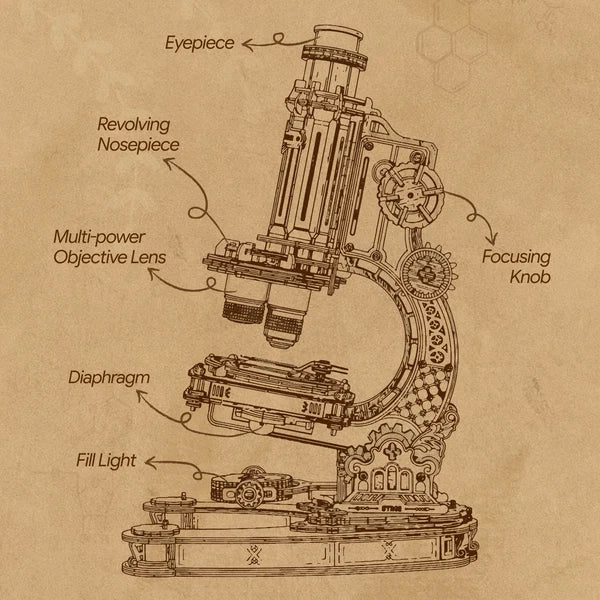 ROKR Microscope, puzzle mécanique 3D en bois