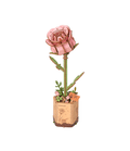Puzzle en bois 3D Rowood Fleur Rose Rose Rose